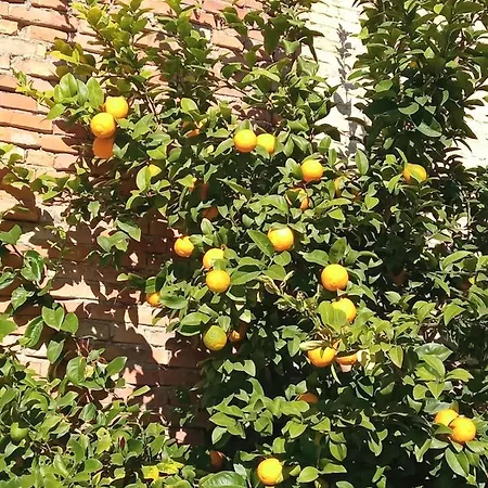 Ad Astra Bed & Breakfast