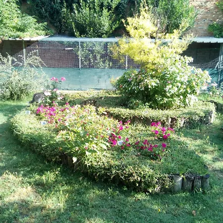 Bed & Breakfast Ad Astra