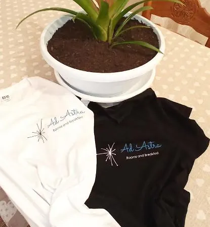 Ad Astra Bed & Breakfast