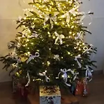 Ad Astra Nocleg ze śniadaniem 4*