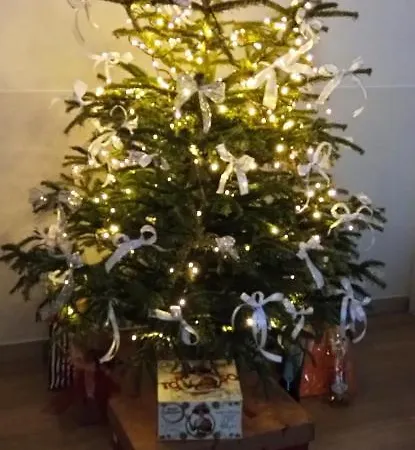 Ad Astra Bed and breakfast 4*