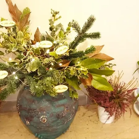 Ad Astra Bed and breakfast 4*