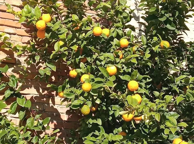 Ad Astra Bed & Breakfast