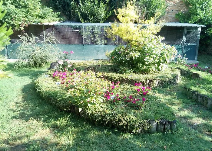 Oda ve Kahvaltı Ad Astra