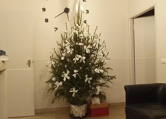 Ad Astra Oda ve Kahvaltı Ravenna