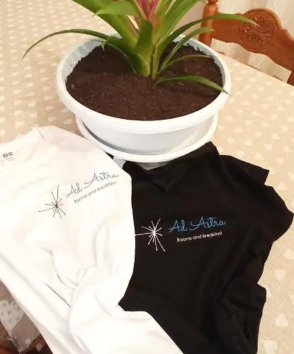 Ad Astra Bed & Breakfast