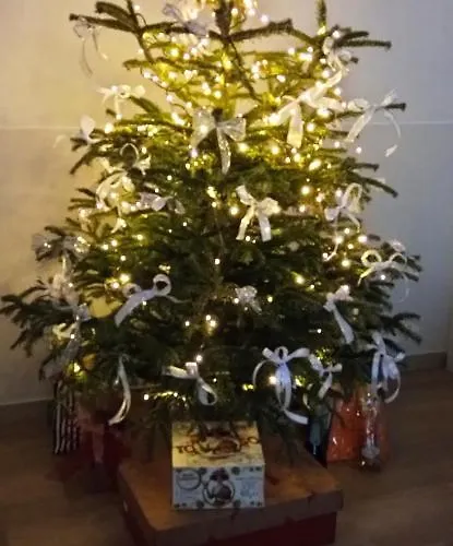 Ad Astra Bed & Breakfast 4*