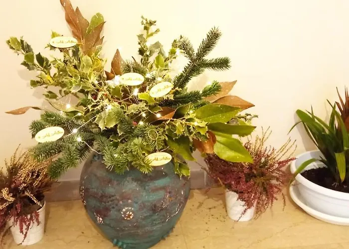 Ad Astra Oda ve Kahvaltı 4*